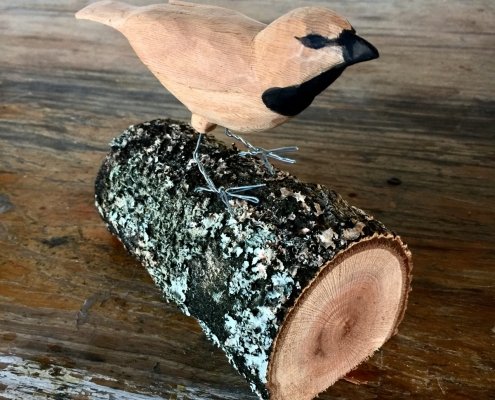 Hand carved black throated finch for #1000finches